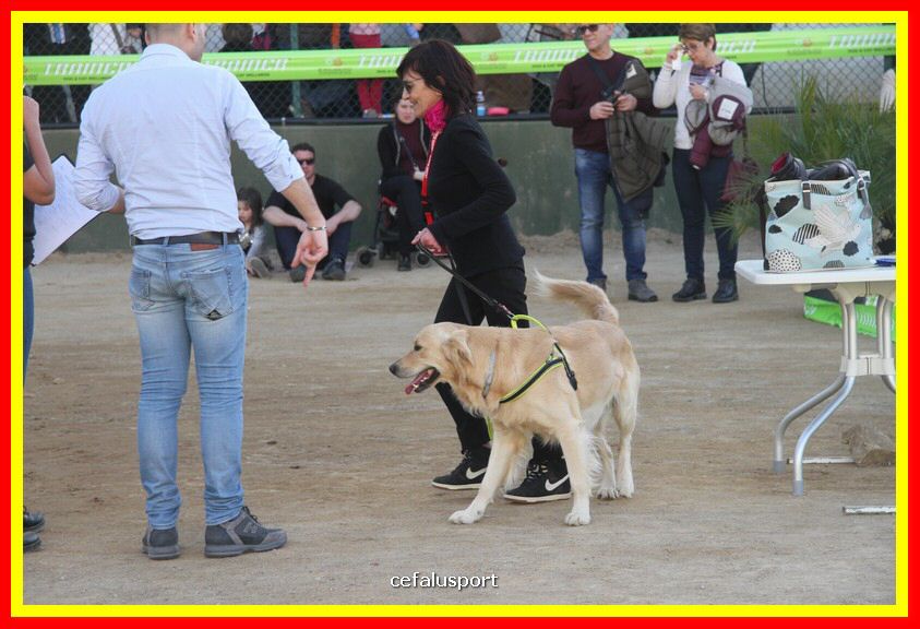 180311 mostra_canina 169.jpg